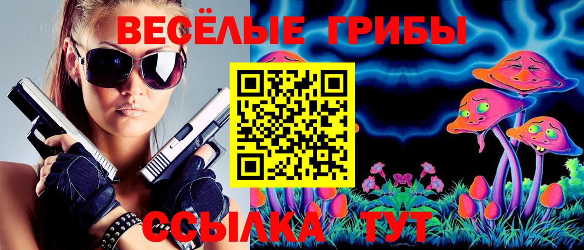 Алушта  Псилоцибиновые грибы Psilocybe  Псилоцибиновые грибы Psilocybe  Вход с VPN 